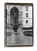 Royal Urn Ii - Laura DeNardo | Cuadro decorativo de Canvas Lab