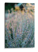 Quietud del momento | Cuadro decorativo de Canvas Lab