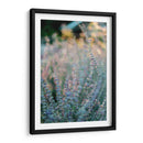 Quietud del momento | Cuadro decorativo de Canvas Lab