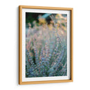 Quietud del momento | Cuadro decorativo de Canvas Lab