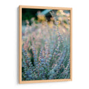 Quietud del momento | Cuadro decorativo de Canvas Lab