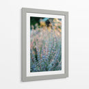 Quietud del momento | Cuadro decorativo de Canvas Lab
