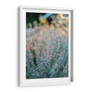 Quietud del momento | Cuadro decorativo de Canvas Lab