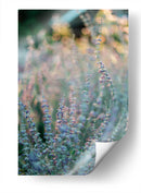 Quietud del momento | Cuadro decorativo de Canvas Lab