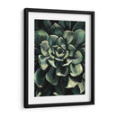 Impreso Lunar Suculento I - Megan Meagher | Cuadro decorativo de Canvas Lab