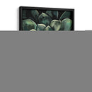 Impreso Lunar Suculento I - Megan Meagher | Cuadro decorativo de Canvas Lab