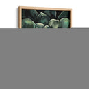 Impreso Lunar Suculento I - Megan Meagher | Cuadro decorativo de Canvas Lab