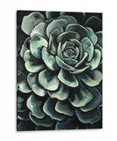 Impreso Lunar Suculento Ii - Megan Meagher | Cuadro decorativo de Canvas Lab