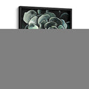 Impreso Lunar Suculento Ii - Megan Meagher | Cuadro decorativo de Canvas Lab