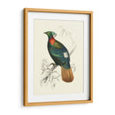 Pájaros De Costa Rica Ii - M.Charles DOrbigny | Cuadro decorativo de Canvas Lab