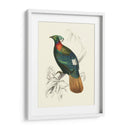 Pájaros De Costa Rica Ii - M.Charles DOrbigny | Cuadro decorativo de Canvas Lab