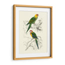 Pájaros De Costa Rica Iv - M.Charles DOrbigny | Cuadro decorativo de Canvas Lab