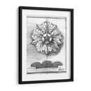 Ornamento Decorativo No Adornado Ii - Ethan Harper | Cuadro decorativo de Canvas Lab