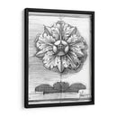 Ornamento Decorativo No Adornado Ii - Ethan Harper | Cuadro decorativo de Canvas Lab