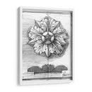 Ornamento Decorativo No Adornado Ii - Ethan Harper | Cuadro decorativo de Canvas Lab