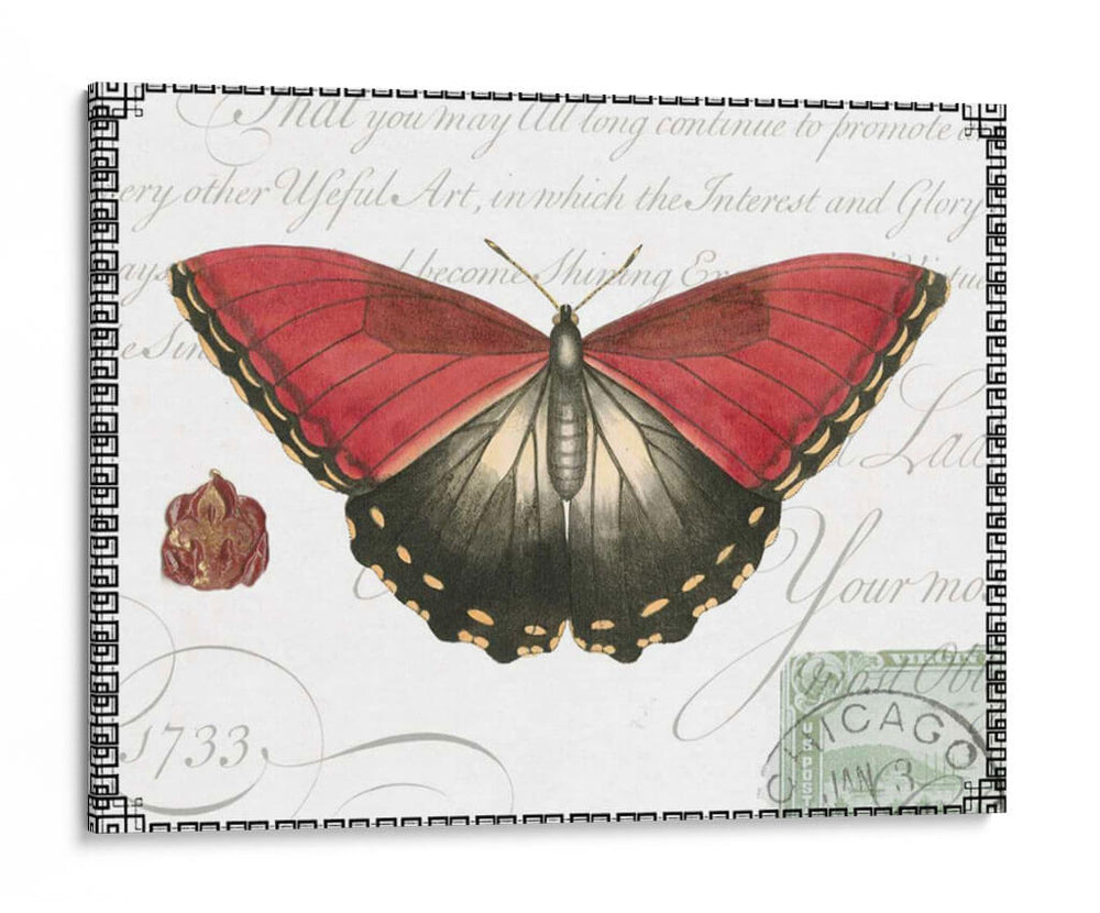 Mariposa Prosa Yo - Vision Studio | Cuadro decorativo de Canvas Lab