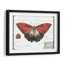 Mariposa Prosa Yo - Vision Studio | Cuadro decorativo de Canvas Lab