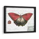 Mariposa Prosa Yo - Vision Studio | Cuadro decorativo de Canvas Lab