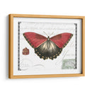 Mariposa Prosa Yo - Vision Studio | Cuadro decorativo de Canvas Lab