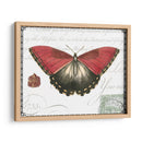 Mariposa Prosa Yo - Vision Studio | Cuadro decorativo de Canvas Lab