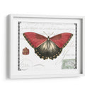 Mariposa Prosa Yo - Vision Studio | Cuadro decorativo de Canvas Lab