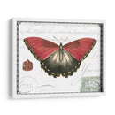 Mariposa Prosa Yo - Vision Studio | Cuadro decorativo de Canvas Lab