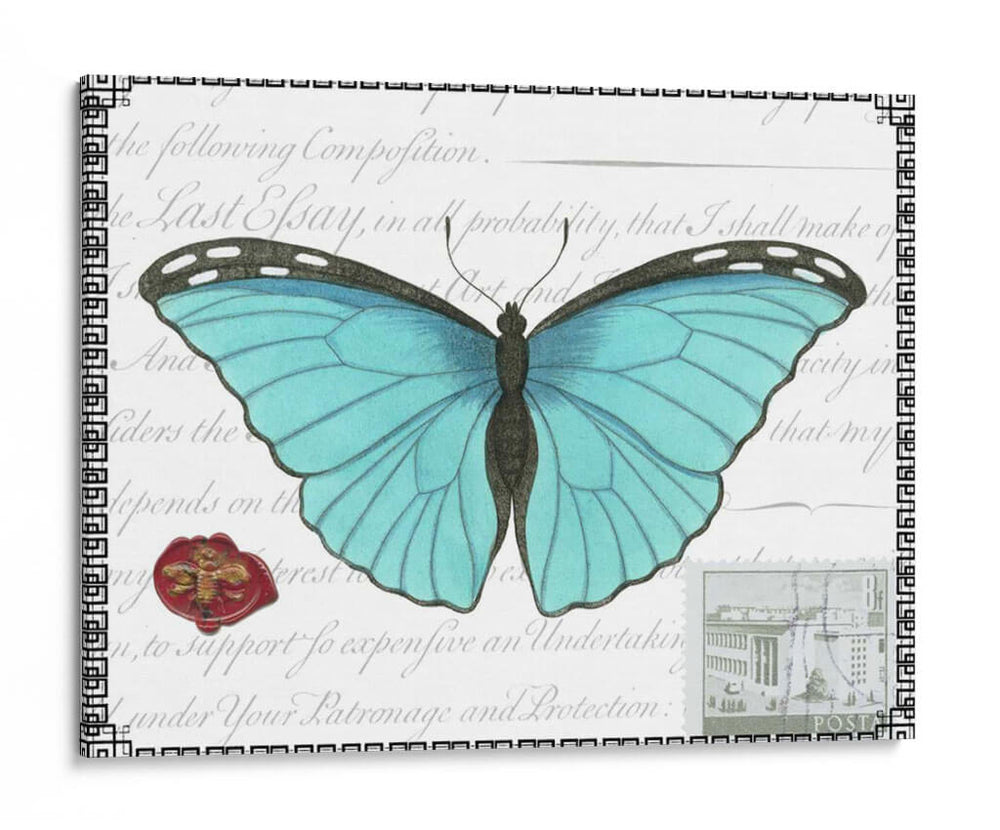 Mariposa Prosa Iv - Vision Studio | Cuadro decorativo de Canvas Lab
