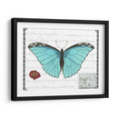 Mariposa Prosa Iv - Vision Studio | Cuadro decorativo de Canvas Lab