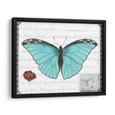 Mariposa Prosa Iv - Vision Studio | Cuadro decorativo de Canvas Lab