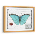 Mariposa Prosa Iv - Vision Studio | Cuadro decorativo de Canvas Lab
