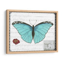 Mariposa Prosa Iv - Vision Studio | Cuadro decorativo de Canvas Lab