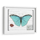 Mariposa Prosa Iv - Vision Studio | Cuadro decorativo de Canvas Lab