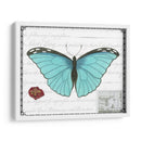 Mariposa Prosa Iv - Vision Studio | Cuadro decorativo de Canvas Lab