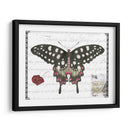 Mariposa Prosa V - Vision Studio | Cuadro decorativo de Canvas Lab