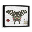 Mariposa Prosa V - Vision Studio | Cuadro decorativo de Canvas Lab