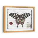 Mariposa Prosa V - Vision Studio | Cuadro decorativo de Canvas Lab