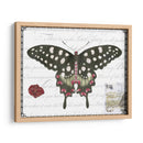Mariposa Prosa V - Vision Studio | Cuadro decorativo de Canvas Lab