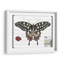 Mariposa Prosa V - Vision Studio | Cuadro decorativo de Canvas Lab