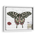 Mariposa Prosa V - Vision Studio | Cuadro decorativo de Canvas Lab