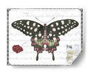 Mariposa Prosa V - Vision Studio | Cuadro decorativo de Canvas Lab