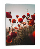 Ama amapola | Cuadro decorativo de Canvas Lab