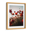 Ama amapola | Cuadro decorativo de Canvas Lab