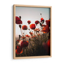 Ama amapola | Cuadro decorativo de Canvas Lab