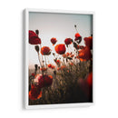 Ama amapola | Cuadro decorativo de Canvas Lab