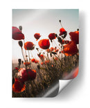 Ama amapola | Cuadro decorativo de Canvas Lab