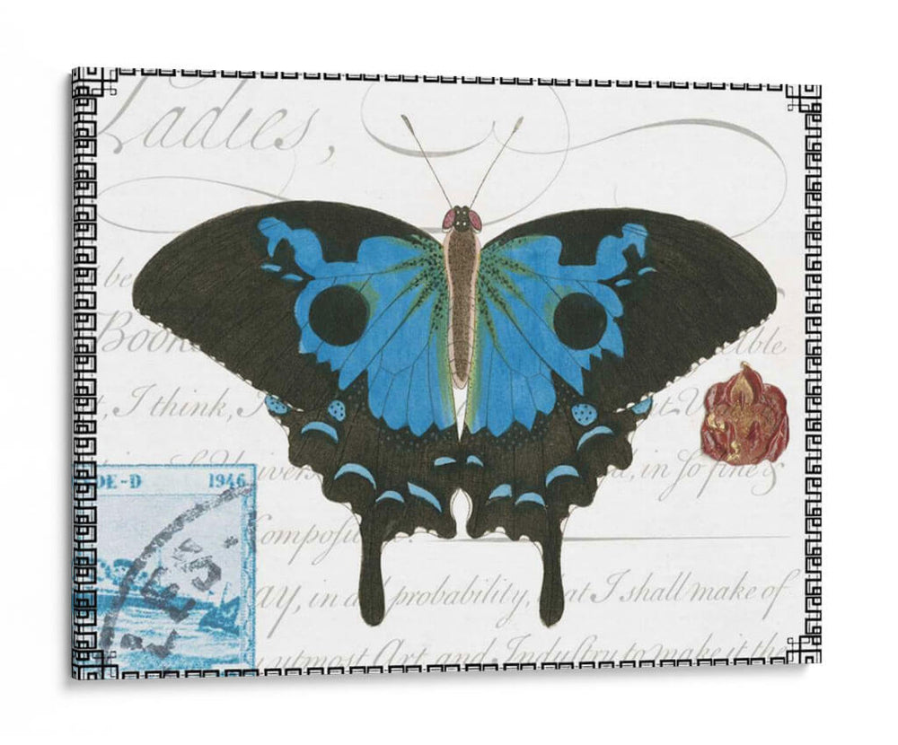 Mariposa Prosa Iii - Vision Studio | Cuadro decorativo de Canvas Lab