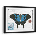 Mariposa Prosa Iii - Vision Studio | Cuadro decorativo de Canvas Lab