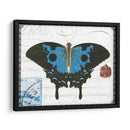 Mariposa Prosa Iii - Vision Studio | Cuadro decorativo de Canvas Lab