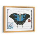 Mariposa Prosa Iii - Vision Studio | Cuadro decorativo de Canvas Lab