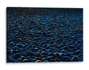 Reflejo azul sobre piedras | Cuadro decorativo de Canvas Lab